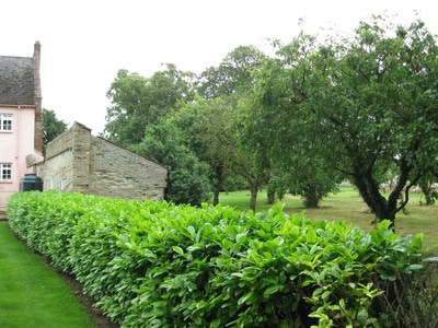 2012 7 4 isleham peyton hall dependency orchard wall cambridgeshire england